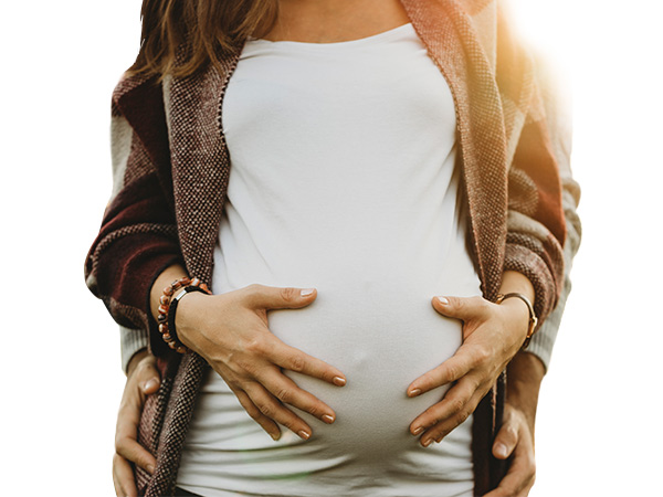 Familia Temporal Renovable