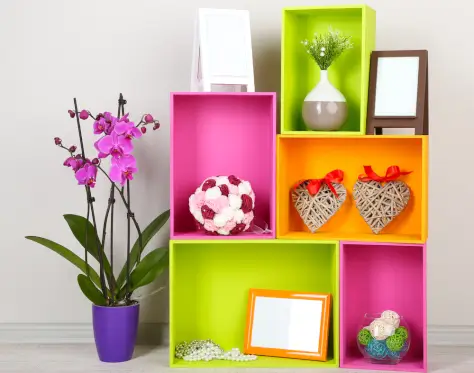 Estantes coloridos decorados con flores y fotografías enmarcadas, creando un ambiente acogedor.