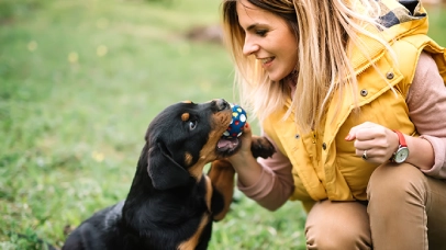 Seguro para perros PPP