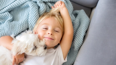 Seguro para perros