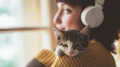 Seguro para gatos