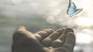 Seguros de decesos Santalucía