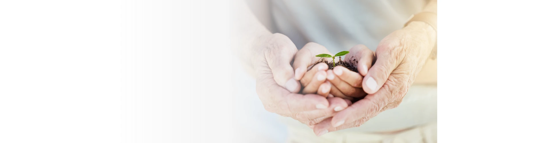 Las manos de una persona mayor sujetan las manos de un niño que sostiene el tallo de una pequeña planta.