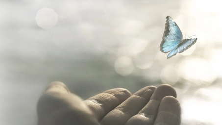 Mano abierta con mariposa azul, representación de tranquilidad y seguros de decesos