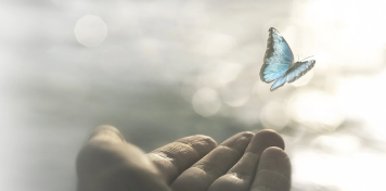 Mano extendida dejando volar una mariposa azul sobre fondo difuminado, símbolo de despedida y seguros de decesos.